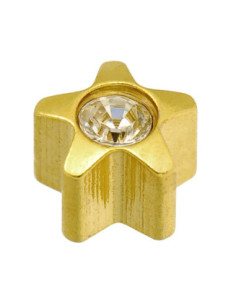 Örhängen med 24 karat...