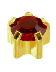 24ct Z januari, örhängen i...