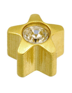 24ct Z April Star-örhängen...