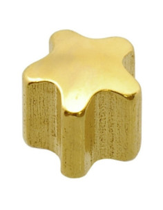 24ct Z MINI Star, örhängen,...