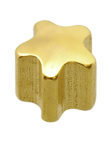 24ct Z MINI Star, örhängen, former, par