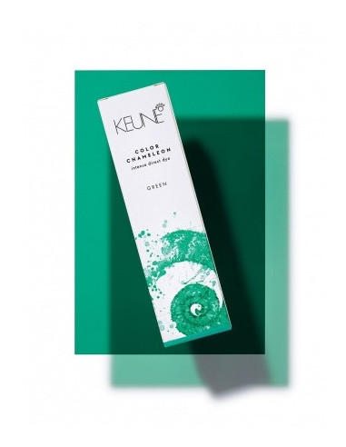 Färg Kameleontgrön - grön färg 60ml