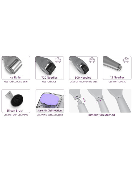 Derma roller mikronålningsapparat, 6 i 1, ICE