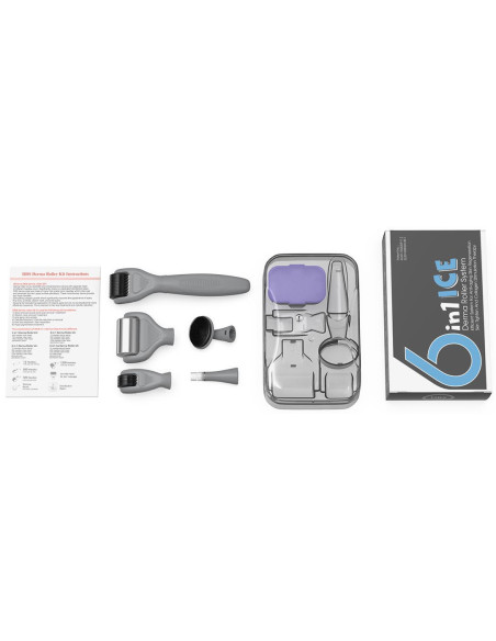 Derma roller mikronålningsapparat, 6 i 1, ICE