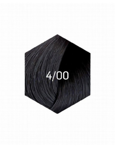 COLLAGE PERMANENT FÄRG 4/00