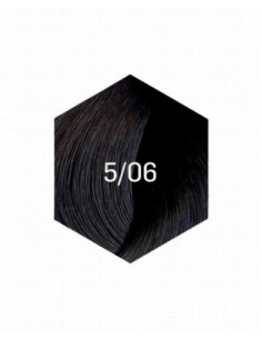 COLLAGE PERMANENT FÄRG 5/06