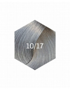 COLLAGE PERMANENT FÄRG 10/17