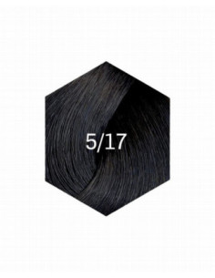 COLLAGE PERMANENT FÄRG 5/17