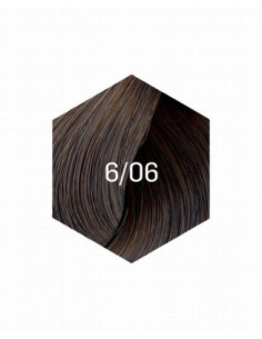 COLLAGE PERMANENT FÄRG 6/06