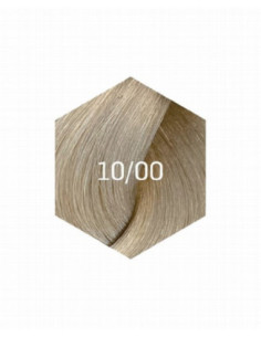 COLLAGE PERMANENT FÄRG 10/00