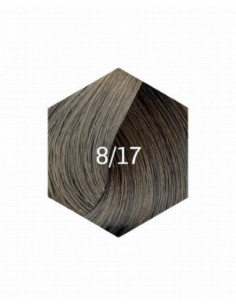 COLLAGE PERMANENT FÄRG 8/17