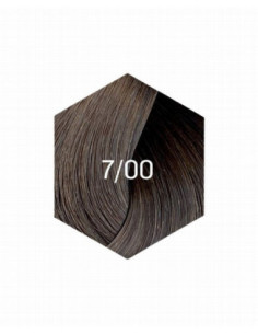 COLLAGE PERMANENT FÄRG 7/00