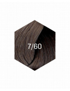 COLLAGE PERMANENT FÄRG 7/60