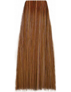 Inebrya Färg 10/42 100ml