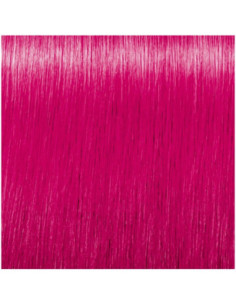 CREA-BOLD Fuchsia Rosa...