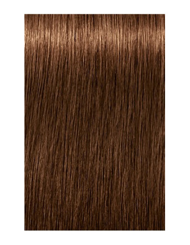 IGORA ROYAL Absolutes 6-460...