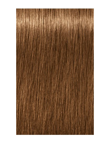 IGORA ROYAL Absolutes 7-450...
