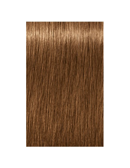 IGORA ROYAL Absolutes 7-450 permanenta krāsa sirmu matu krāsošanai 60ml