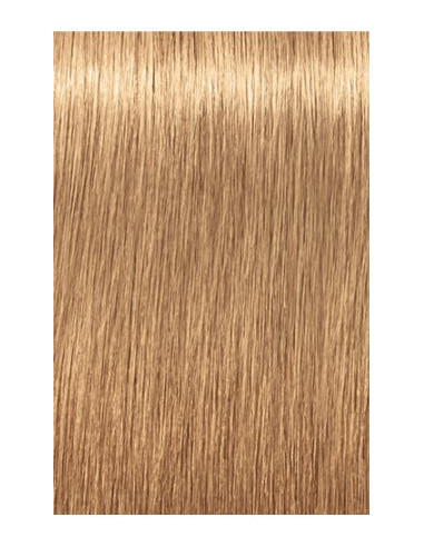 IGORA ROYAL Absolutes 9-560...