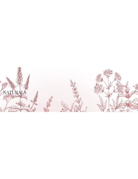VIVIAN GRAY NATURALS handkräm Apelsinblomma, 30 ml