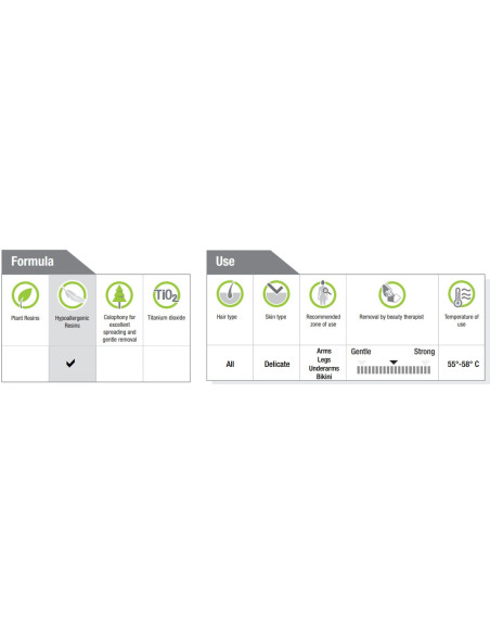 HOLIDAY EXCELLENT MERMAID Hypoallergeniskt hårborttagningsvax 400ml