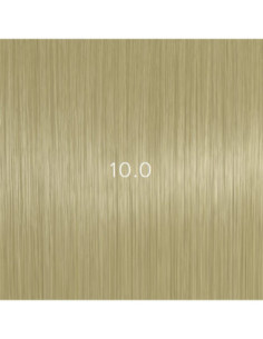 AURORA 10.0 permanent...