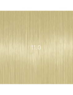 AURORA 11.0 permanent...