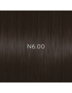 AURORA N6.00 permanent...