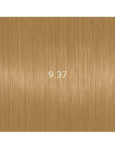 AURORA 9.37 permanent...