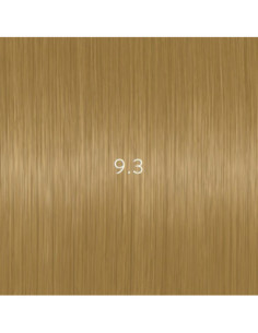 AURORA 9.3 permanent...