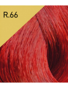 COLOR LUX Hårfärg R.66 100ml
