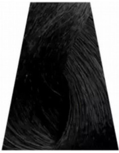 TREND TOUJOURS Hårfärg 100ml 2