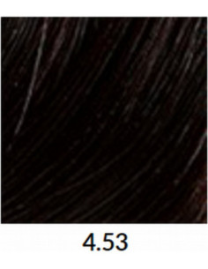 FÄRGBLÄCK 4,53 60 ml