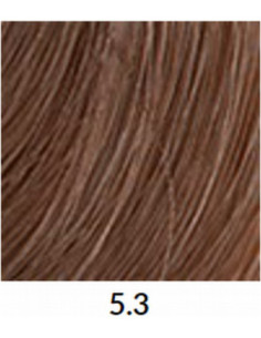 FÄRGBLÄCK 5.3 60ml