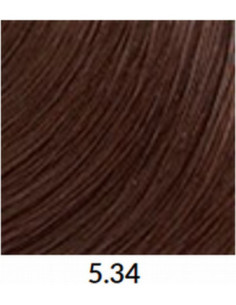 FÄRGBLÄCK 5,34 60 ml