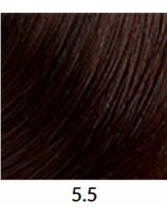 FÄRGBLÄCK 5,5 60 ml