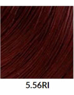 FÄRGBLÄCK 5.56RI 60ml