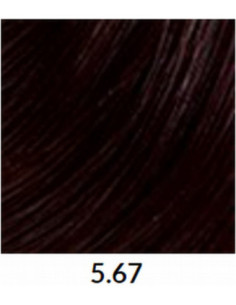 FÄRGBLÄCK 5,67 60 ml