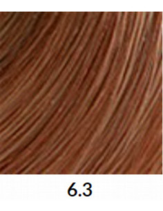 FÄRGBLÄCK 6,3 60 ml