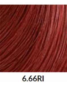 FÄRGBLÄCK 6.66RI 60ml