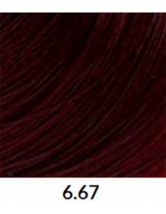 FÄRGBLÄCK 6,67 60 ml