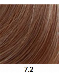 FÄRGBLÄCK 7.2 60ml