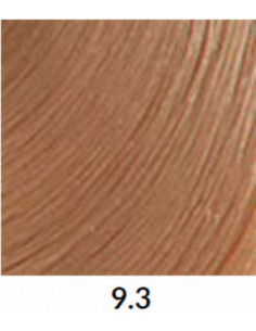 FÄRGBLÄCK 9.3 60ml