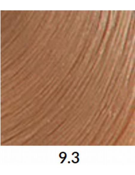 FÄRGBLÄCK 9.3 60ml