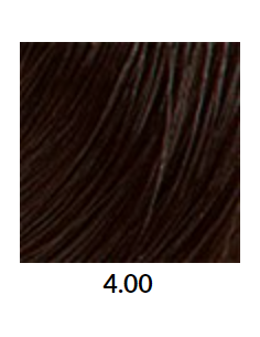 FÄRGBLÄCK 4.00 60ml