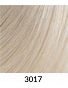 FÄRGBLÄCK 3017 60ml