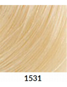 FÄRGBLÄCK 1531 60ml