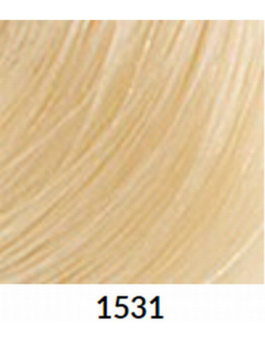 FÄRGBLÄCK 1531 60ml