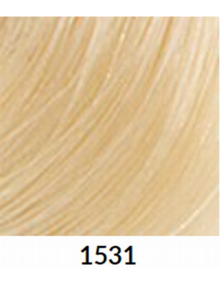 FÄRGBLÄCK 1531 60ml