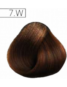 Absoluk Permanent Hårfärg...